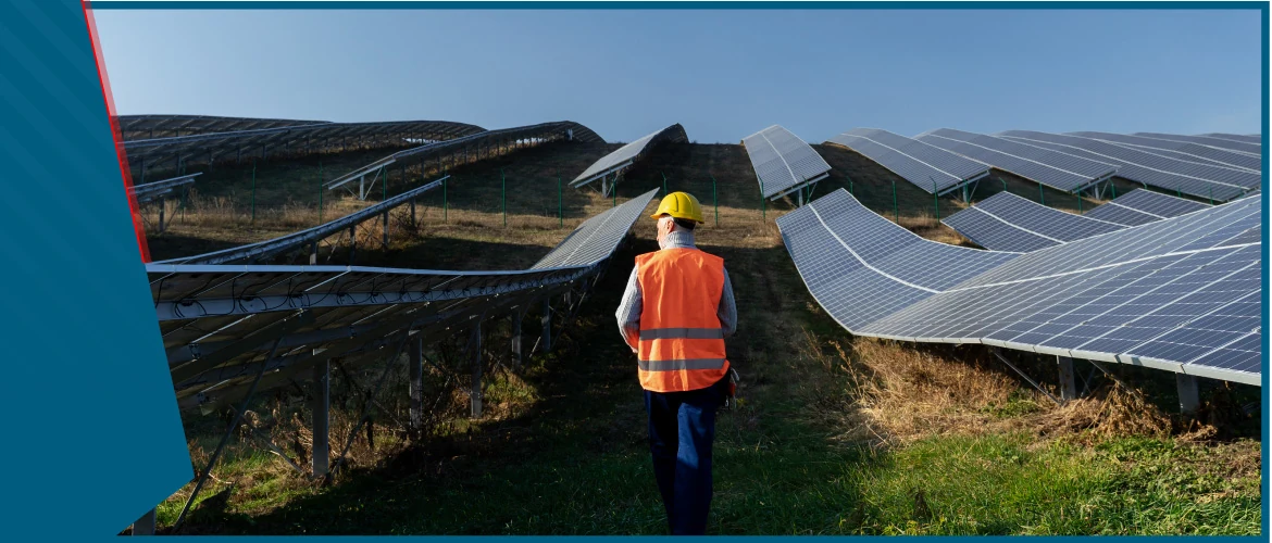 Solar Farm Case Study