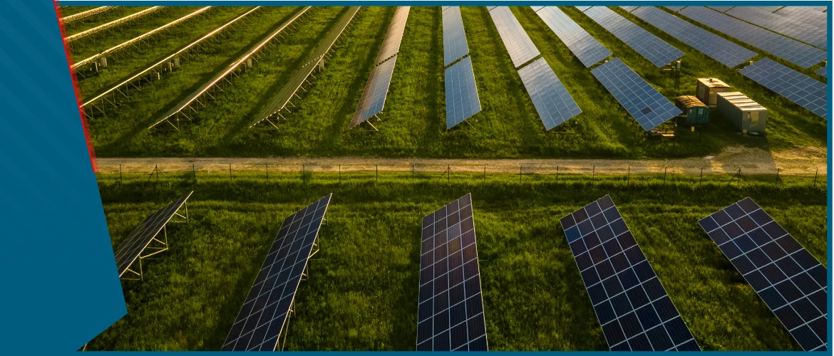 Solar Farm Case Study